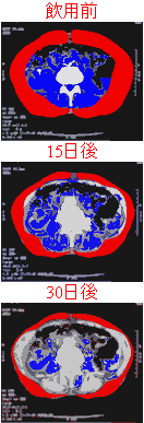 バナー4