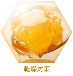 乾燥対策 