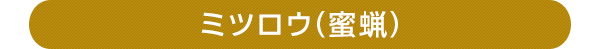 ミツロウ（蜜蝋）