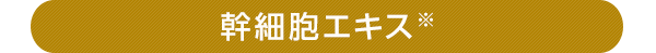 幹細胞エキス※
